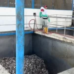 harina de pescado4