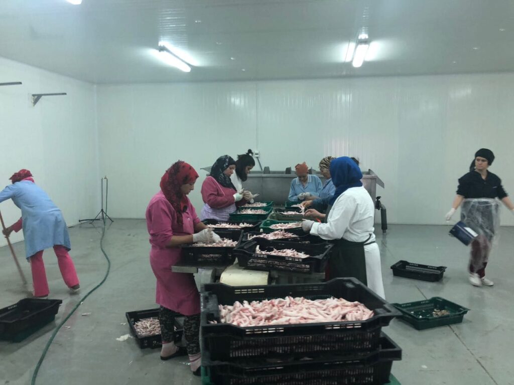 patas de pollo2