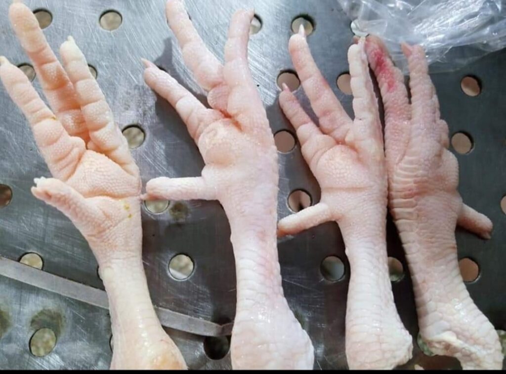 patas de pollo4